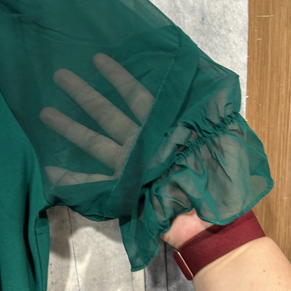 Womans Liz McCoy Blouse Green Size Large Sheer Ruffle Arms - Picture 4 of 8